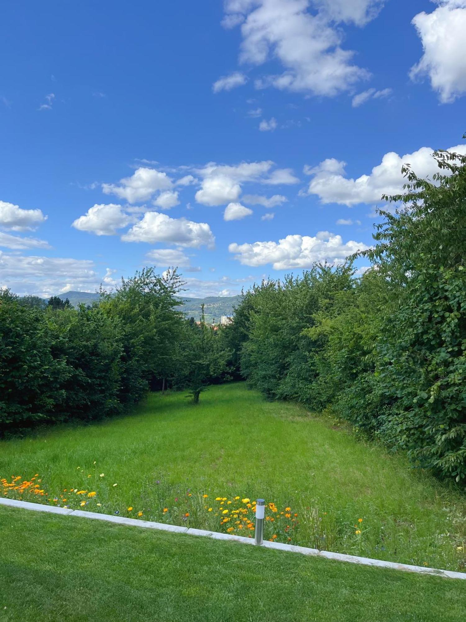 Apartment Neu Sanierte Fuer 2-4 P Eschwege